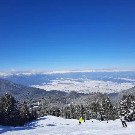 公寓 In Aspen Golf 班斯科